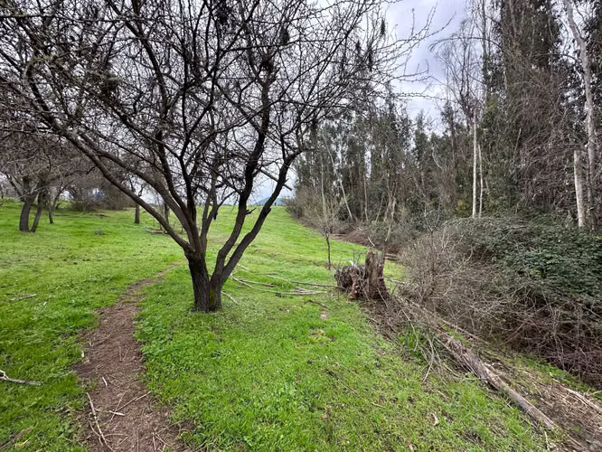 Espectacular Terreno en Codigua - Melipilla (168093)