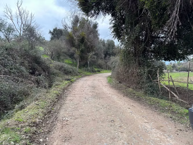 Espectacular Terreno en Codigua - Melipilla (168093)