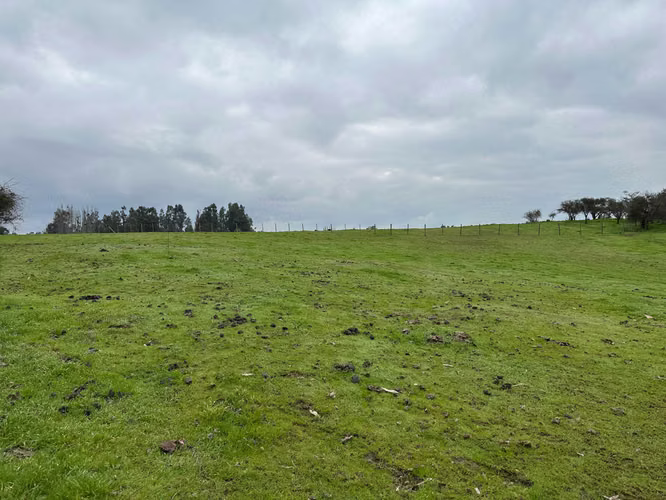 Espectacular Terreno en Codigua - Melipilla (168093)