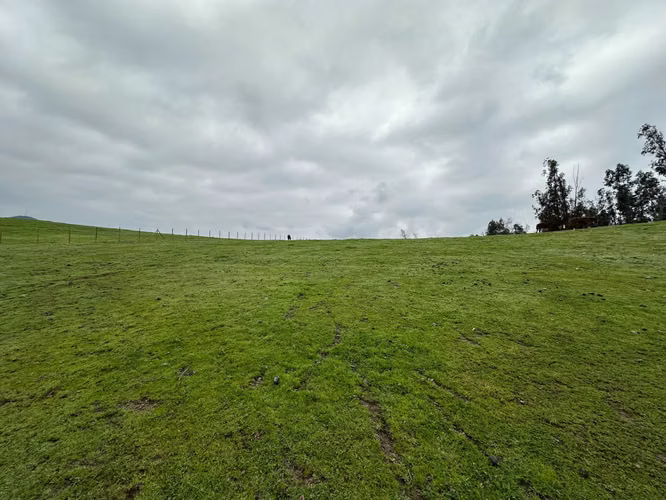 Espectacular Terreno en Codigua - Melipilla (168093)