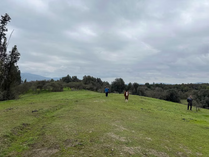 Espectacular Terreno en Codigua - Melipilla (168093)