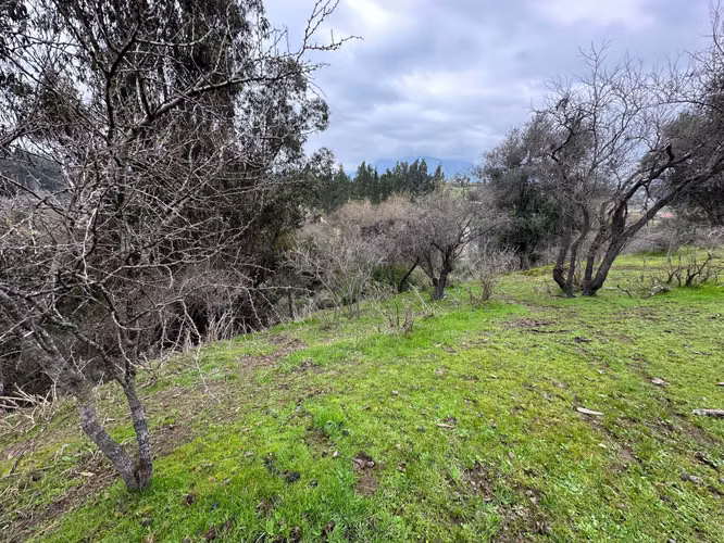 Espectacular Terreno en Codigua - Melipilla (168093)