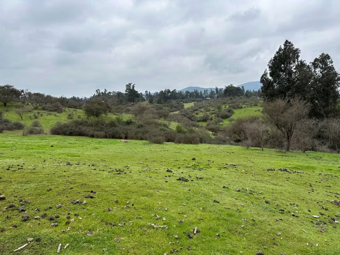 Espectacular Terreno en Codigua - Melipilla (168093)