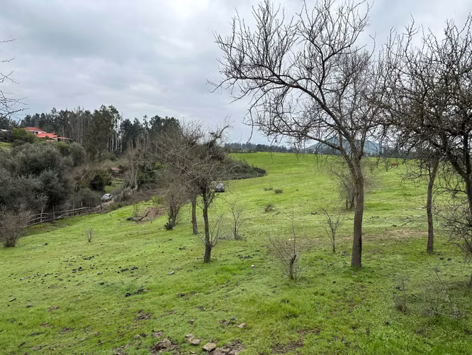 Espectacular Terreno en Codigua - Melipilla (168093)