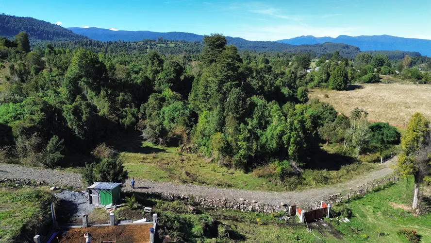 Boquial 2 Rio Bueno (168128)