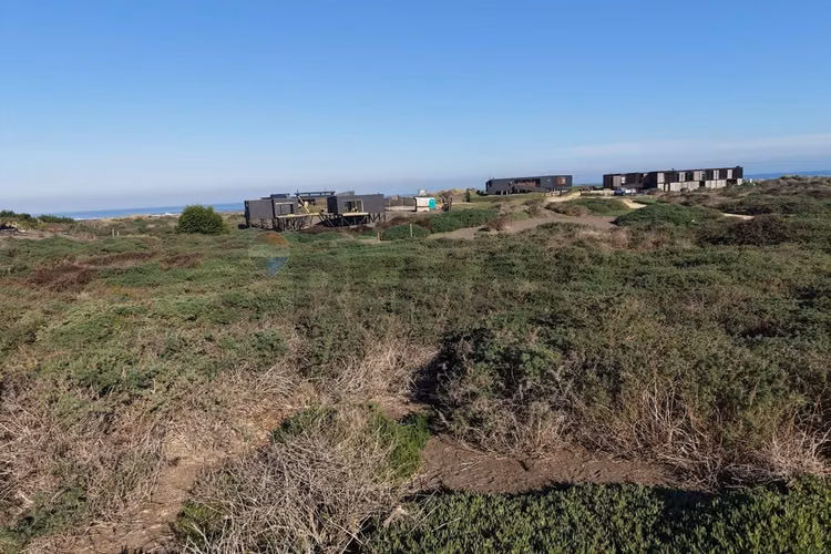 Exclusivo terreno costero entre lobos y cáhuil.