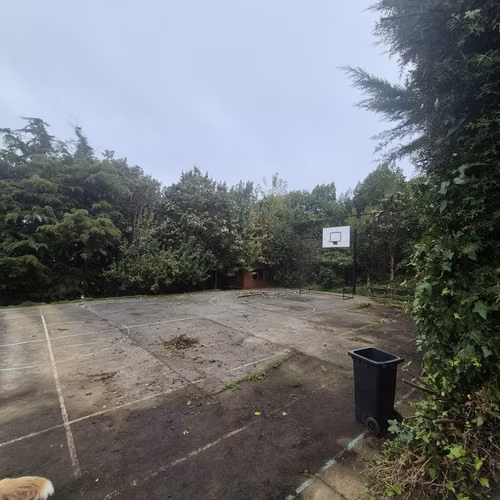 AMPLIA CASA EN TERRENO DE 2500 M2 - Imagen 5