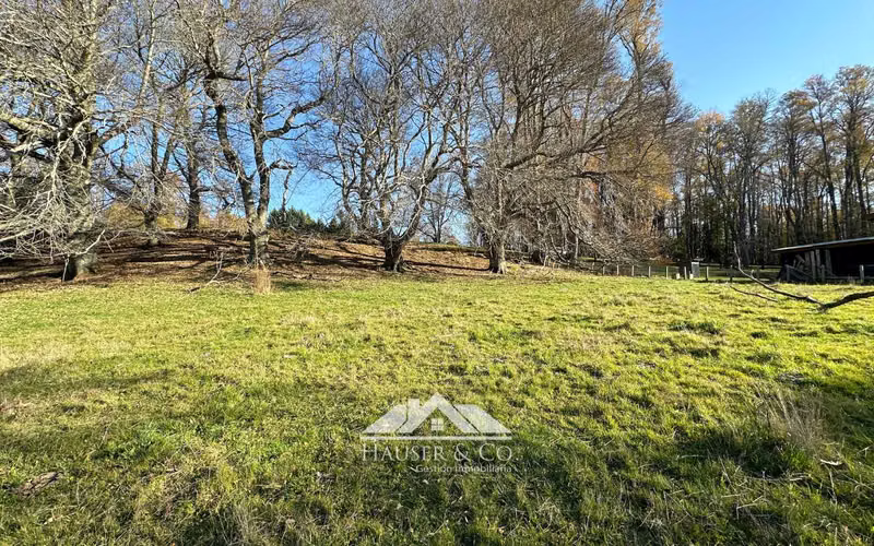 Preciosa parcela exclusivo Condominio Parque Casa Campo Villarrica