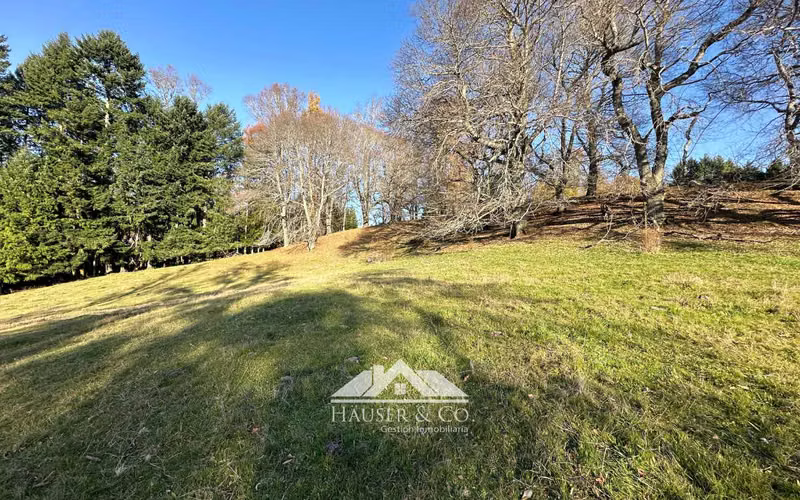 Preciosa parcela exclusivo Condominio Parque Casa Campo Villarrica