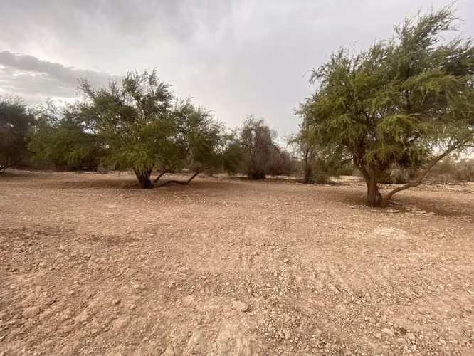 Venta terreno y casa la Huayca KM 22
