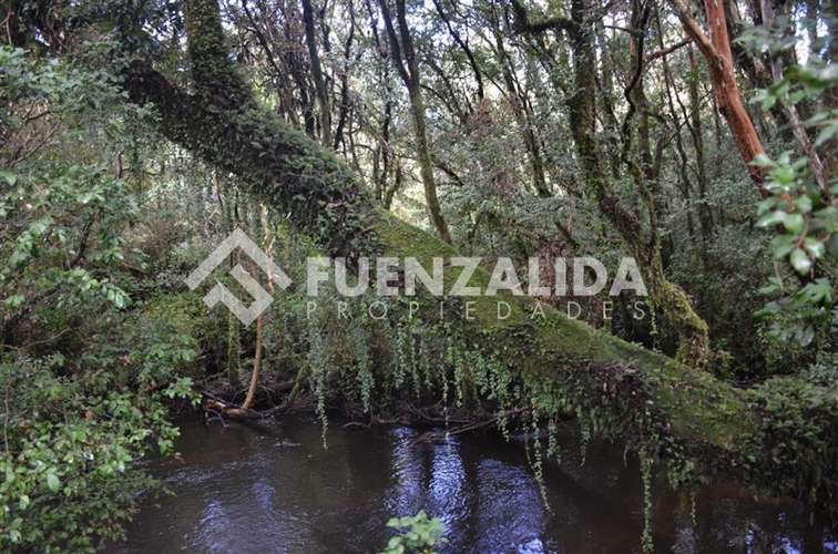 Venta Parcelas Residenciales SIN COMISION Desde UF 1100 - Imagen 9