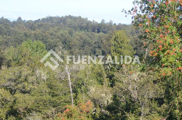 Venta Parcelas Residenciales SIN COMISION Desde UF 1100 - Imagen 15