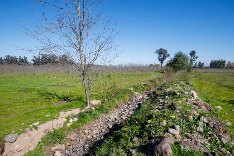 Parcelas Fundo Santa Emilia (Chimbarongo)