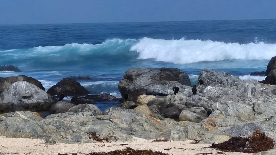 OPORTUNIDAD EL TABO FRENTE AL MAR  CABAÑAS FUNCIONANDO -