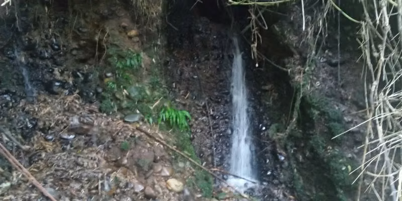 Parcela de Permacultura en Arriendo, Quilaco-BioBio