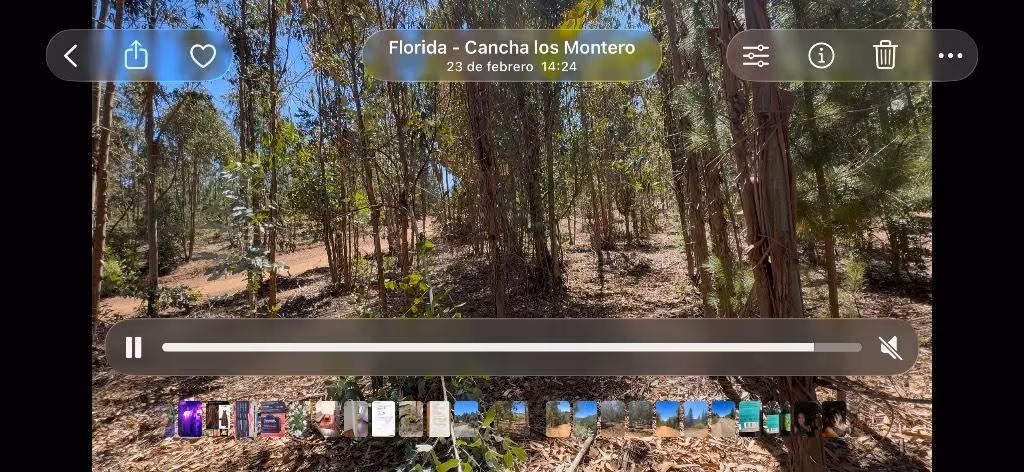 Terrenos en Florida localidad “Los Monteros” - Imagen 4
