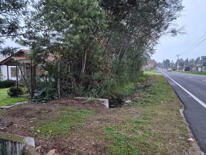 Parcela  con casa en venta San Clemente (168291)