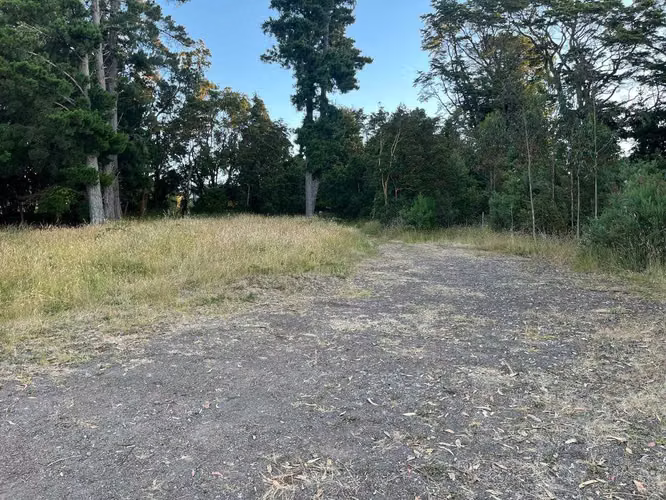 Parcelas 5.000 m² Ensenada | Vista Volcanes | (168297) - Imagen 9