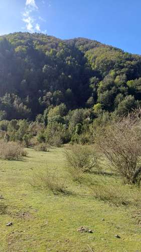 VENTA TERRENO - SITIO 280000MTS Curacautín - Imagen 17