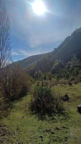 VENTA TERRENO - SITIO 280000MTS Curacautín - Imagen 8