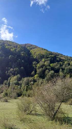 VENTA TERRENO - SITIO 280000MTS Curacautín - Imagen 12