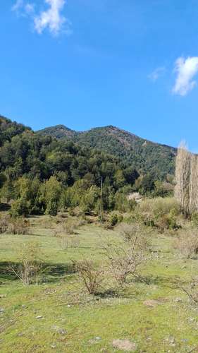 VENTA TERRENO - SITIO 280000MTS Curacautín - Imagen 5