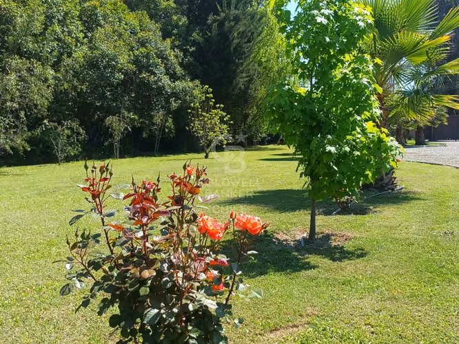 Parcela 5.000 m2 con dos casas en Calera de Tango