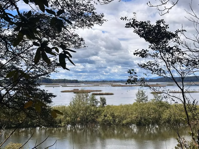 Exclusiva Parcela con Orilla de Río Cruces, Valdivia - Imagen 5
