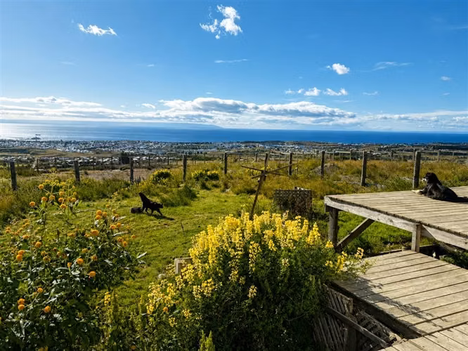 Casa en venta de 3 dormitorios en Punta Arenas