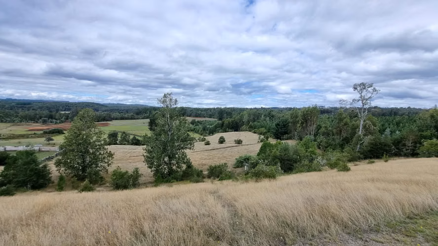 Casa en Hermoso Campo de 6 Hectáreas en Chancoyan Alto