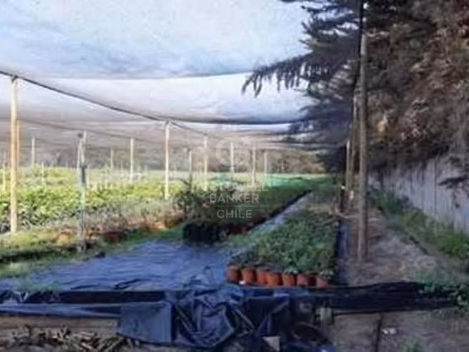 Terreno 2,5há a orilla de Carretera, Requinoa