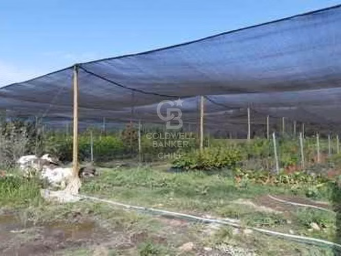 Terreno 2,5há a orilla de Carretera, Requinoa