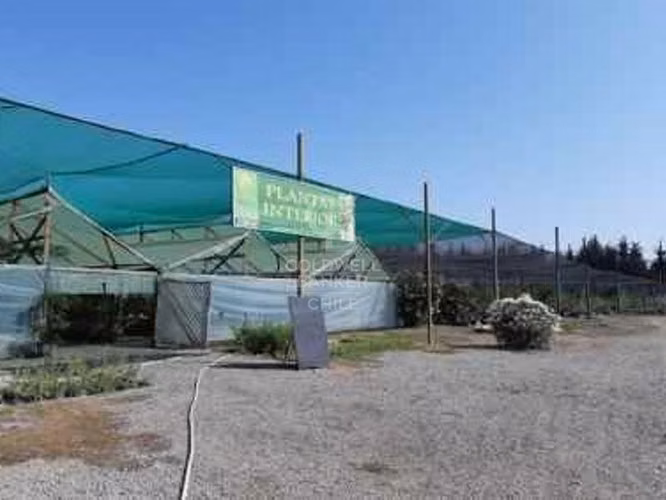 Terreno 2,5há a orilla de Carretera, Requinoa