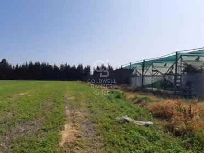 Terreno 2,5há a orilla de Carretera, Requinoa