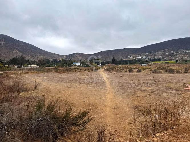 Terrenos para Desarrollo La Serena / Cuatro Esquinas