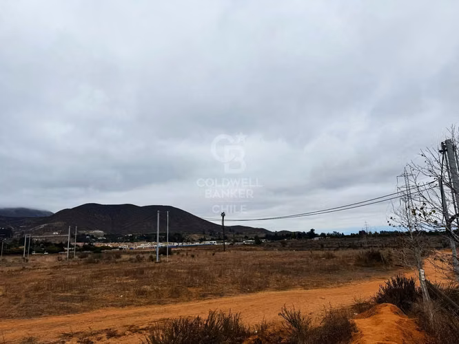 Terreno para Desarrollo La Serena / Cuatro Esquinas