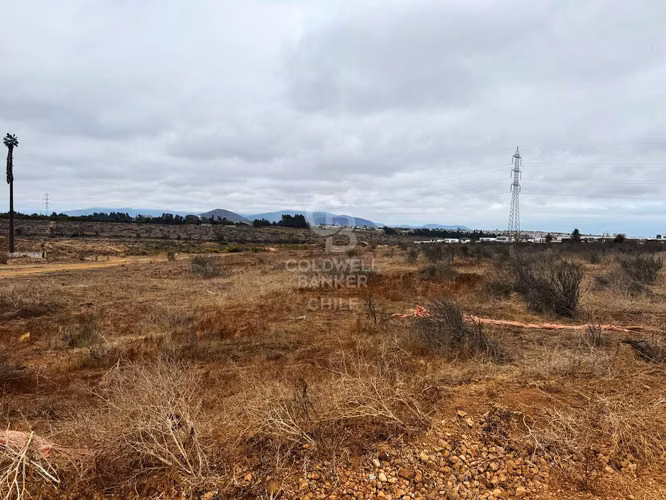 Terrenos para Desarrollo La Serena / Cuatro Esquinas