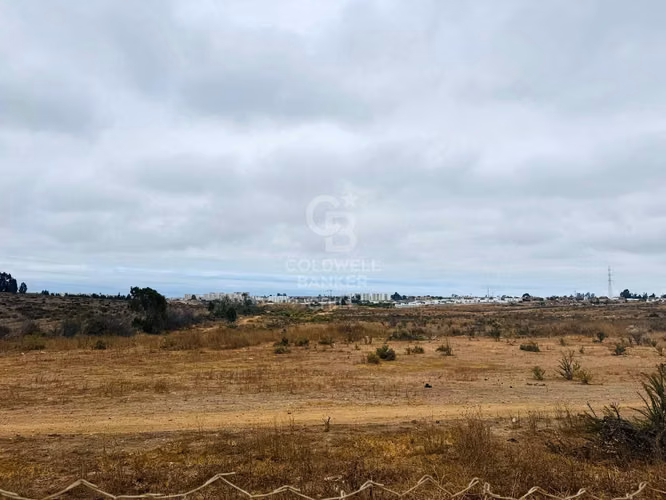 Terrenos para Desarrollo La Serena / Cuatro Esquinas