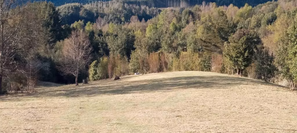 Parcela en la cordillera Norte del Lago Colico