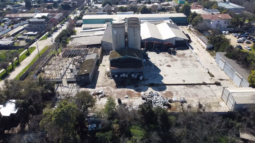 BODEGA Limache
