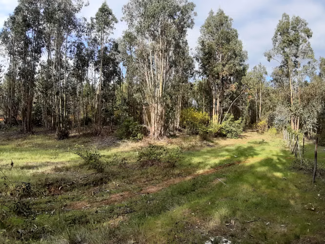 vendo sitio con hermoso entorno a tan solo 10 min del centro de Santa Juana
