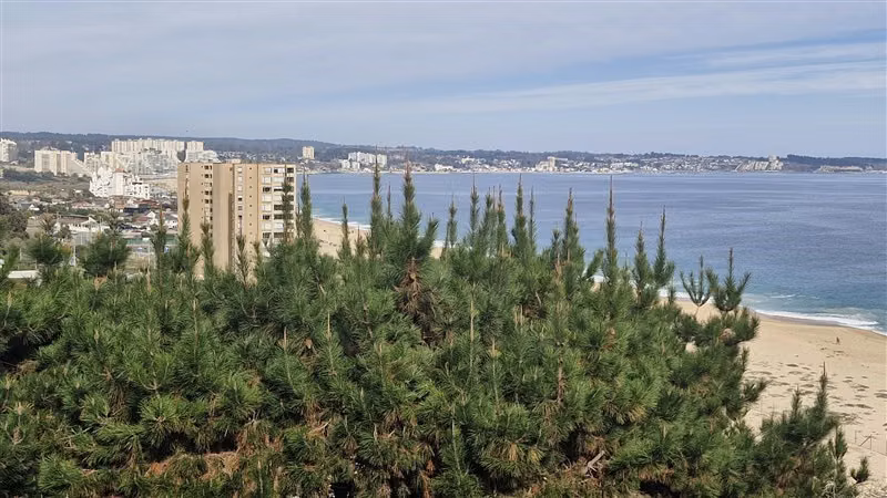 Casa con vista despejada frente al mar 5D4B