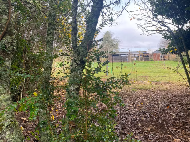 Se vende casa y terreno en Tralcao 20 minutos de Valdivia
