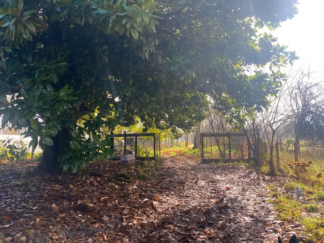 Se vende casa y terreno en Tralcao 20 minutos de Valdivia
