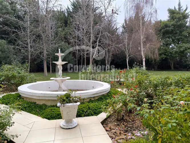 Local Comercial en Venta en Colina