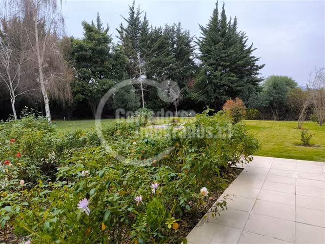 Local Comercial en Venta en Colina