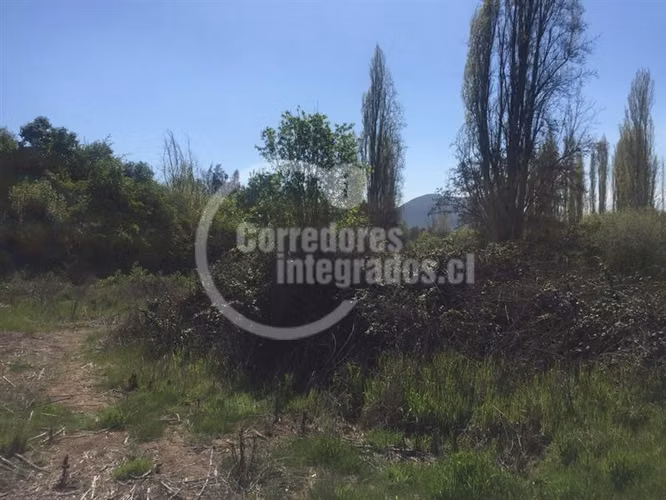 Sitio en Venta en Pirque Pago al Contado