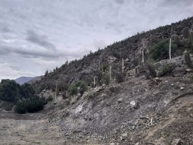 Se vende Terreno en el Valle del Elqui (168507)