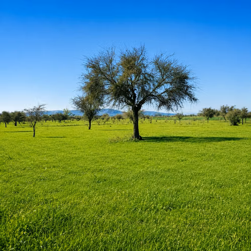 PARCELAS EN SAN JOSÉ DE MARCHIGUE A MINUTOS LAS CABRAS Y LAGO RAPEL