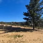 VENTA Exclusiva Propiedad en Algarrobo |5.000 m² de Naturaleza